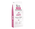 Brit Care Hypoallergenic Puppy Alimento Para Perro Todos Los Tamaños Sabor Salmón Y Papa En Bolsa De 1kg