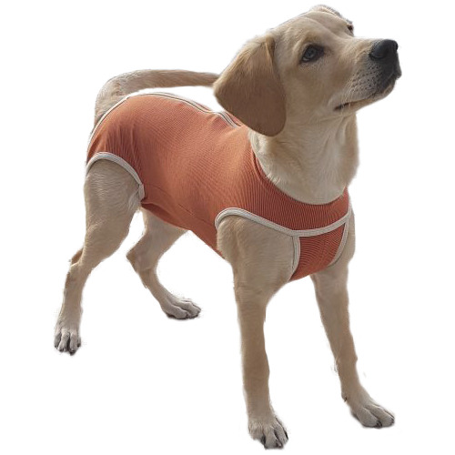 Body Cobre Post Operatorio Talla 9 Perros 21-25kgs