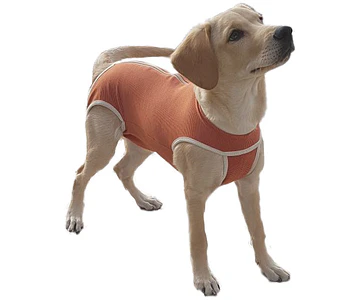 Body Cobre Post Operatorio Talla 10 Perros 25-30kgs