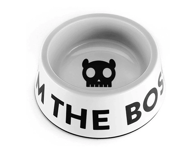 Zeedog I'm The Boss White Bowl Small Color Blanco