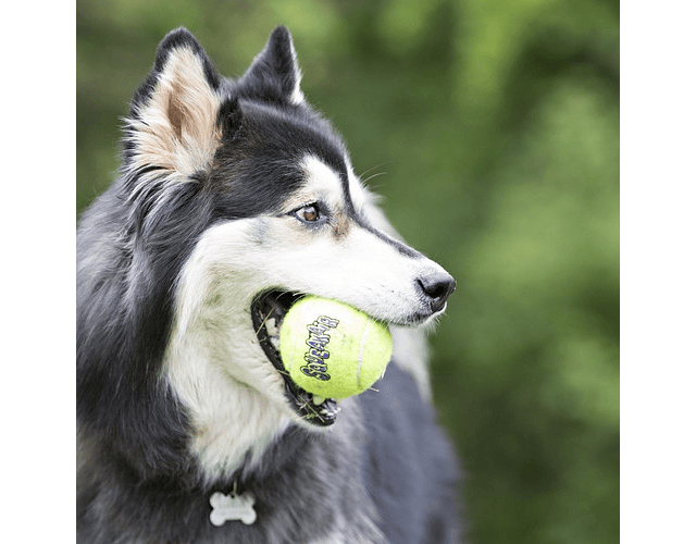 Kong Pelota Para Perro Squeakair Ball Mediana Tenis Juguete Color Amarillo