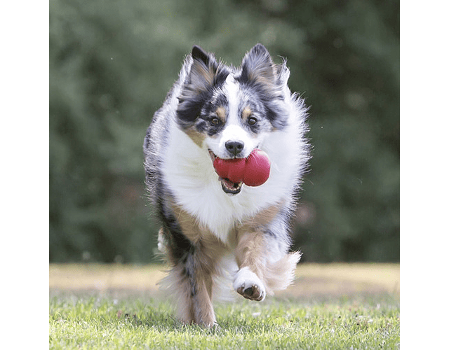 Kong Classic Large Juguete Rellenable Para Perros Color Rojo