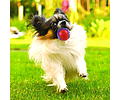 Pelota Para Perros Gigwi Ball Squeaker Medium Color Rojo