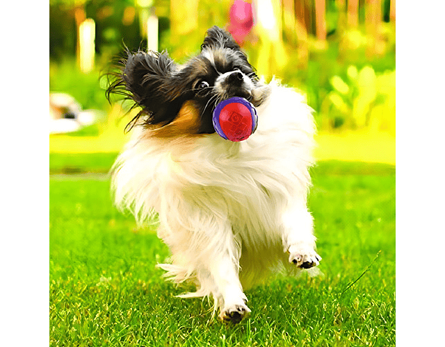 Pelota Para Perros Gigwi Ball Squeaker Medium Color Rojo