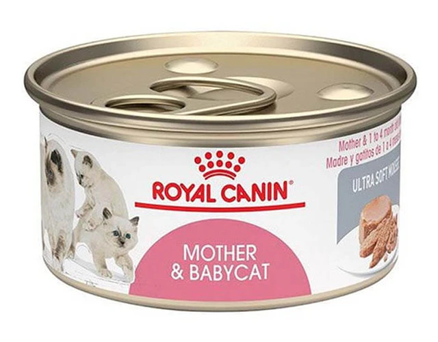 Royal Canin Mother Y Baby Cat 145g (lata