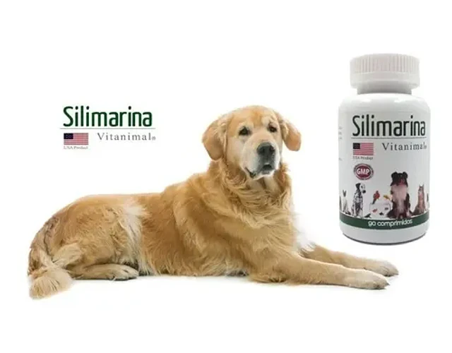 Silimarina 90 Comprimidos 120mg