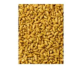 Mazuri Aves Pequeñas 1kg