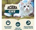 Alimento Acana Indoor Entrée Para Gato Adulto Sabor Mix De 4.5 Kg