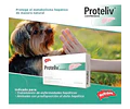 Proteliv, Protector Hepatico 21 Tab. Perro Y Gato, Holliday