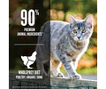 Alimento Orijen Cat Para Gato Sabor Mix En Bolsa De 5.4kg