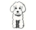 Pin Broche Metalico Razas De Perros