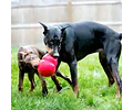 Juguete Kong Bounzer Perro Goma Talla L Resistente Rebote Rojo