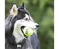Pelota Para Perro Kong Ball Squeak Air Talla L X2 Unidades Amarillo