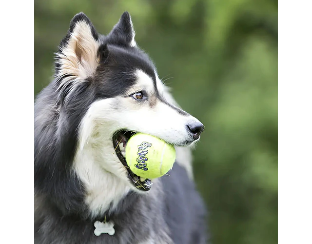 Pelota Para Perro Kong Ball Squeak Air Talla L X2 Unidades Amarillo