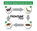 Frontline Plus Pipeta Antipulgas Perros 2 A 10 Kg Garrapatas Piojos