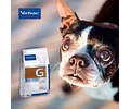 Alimento Seco Digestive Support Hpm Virbac Para Perros 12 Kg