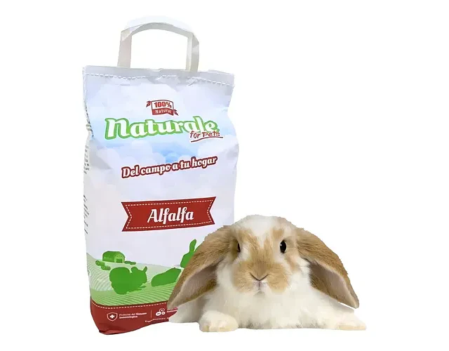 Heno Alfalfa 600g Naturale Conejos Chinchillas Cobayas Hámster