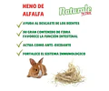 Heno Alfalfa 600g Naturale Conejos Chinchillas Cobayas Hámster
