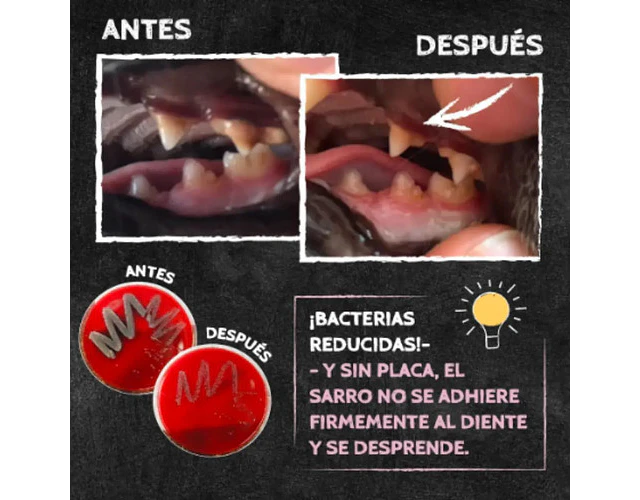 Snack Dental Crocante Q-chefs Mmini Para Gato 60g