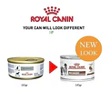 Alimento Royal Canin Veterinary Diet Canine Recovery Para Perro Adulto Los Tamaños Sabor Mix De 145 G