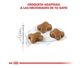 Royal Canin Kitten 1,5 Kg 