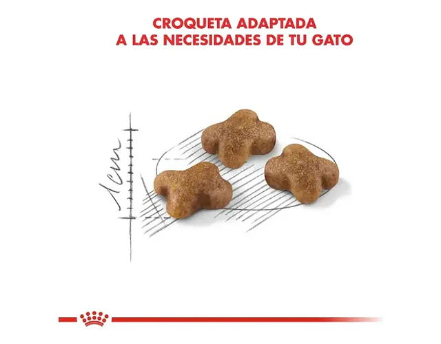 Royal Canin Kitten 1,5 Kg 