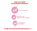 Royal Canin Kitten 1,5 Kg 