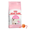 Royal Canin Kitten 1,5 Kg 