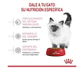 Royal Canin Kitten 1,5 Kg 