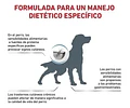 Alimento Royal Canin Veterinary Hipoalergénico Pequeno Para Perro Adulto Todos Los Tamaños Sabor Mix De 2 Kg
