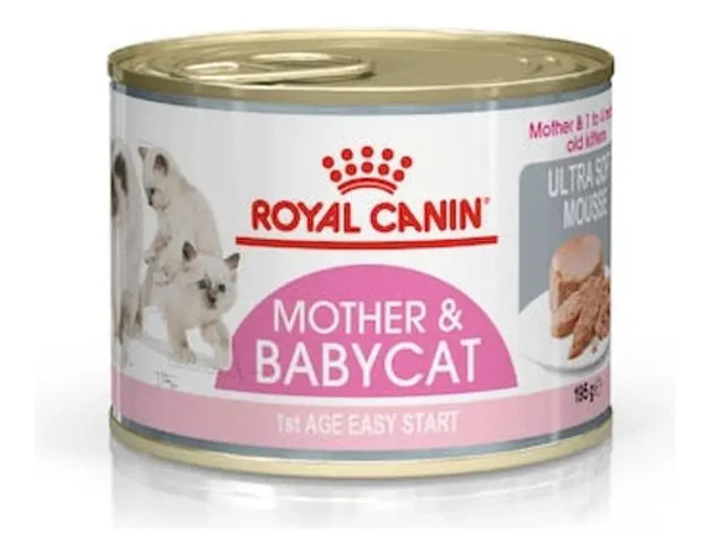 Royal Canin Mother Y Baby Cat 145g (lata
