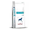 Royal Canin Veterinary Diet Canine Hypoallergenic 10.1 Kg