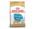 Alimento Royal Canin Chihuahua Puppy 1.5 Kg