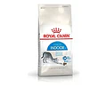 Royal Canin Feline Indoor Gato Adulto1.5 Kg