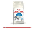 Royal Canin Feline Indoor Gato Adulto1.5 Kg