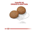 Alimento Royal Canin Size Health Nutrition Medium Adult Para Perro Adulto De Raza Mediana Sabor Mix De 2.5 Kg