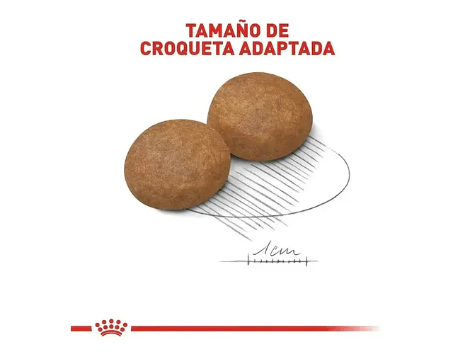 Alimento Royal Canin Size Health Nutrition Medium Adult Para Perro Adulto De Raza Mediana Sabor Mix De 2.5 Kg
