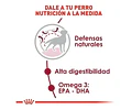 Alimento Royal Canin Size Health Nutrition Medium Adult Para Perro Adulto De Raza Mediana Sabor Mix De 2.5 Kg