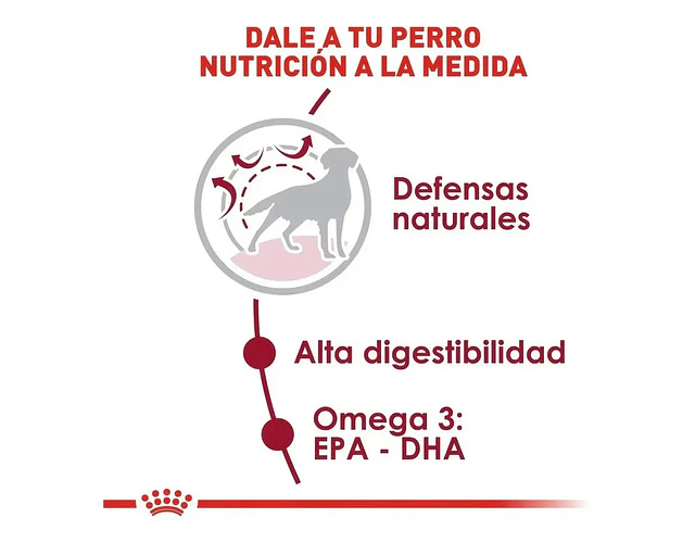 Alimento Royal Canin Size Health Nutrition Medium Adult Para Perro Adulto De Raza Mediana Sabor Mix De 2.5 Kg
