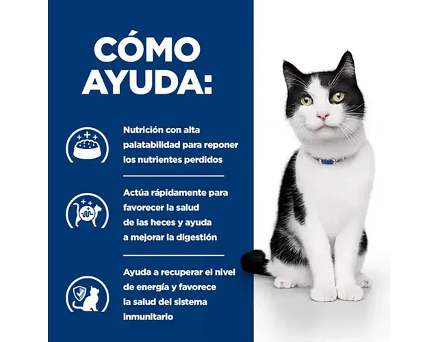 Alimento Hill's Prescription Diet Digestive Care I/d Para Gato Sabor Pollo Y Vegetales De 156 G