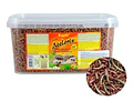 Alimento Completo Atelerix Para Erizo 1kg