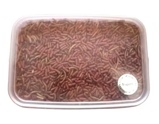 Alimento Completo Atelerix Para Erizo 1kg