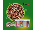 Alimento Completo Atelerix Para Erizo 1kg