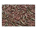 Alimento Completo Atelerix Para Erizo 1kg