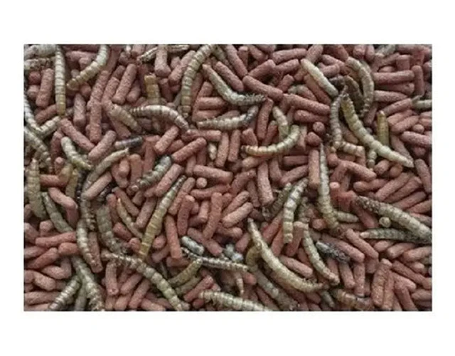 Alimento Completo Atelerix Para Erizo 1kg