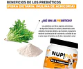 Nup! Pets Suplemento Pre & Probióticos Perro Y Gato Sabor Carne