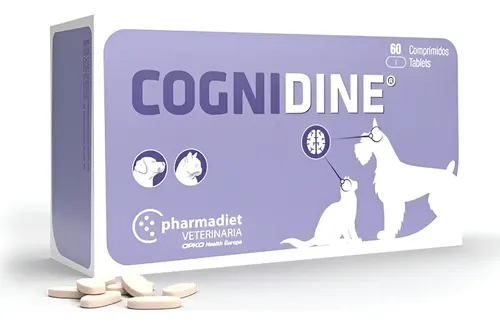 Cognidine 60 Comprimidos