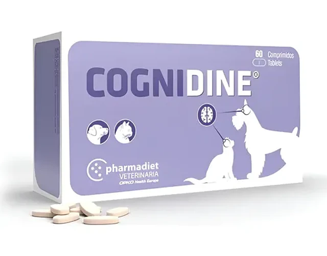 Cognidine 60 Comprimidos