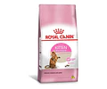 Royal Canin Kitten Sterilised 1.5kg