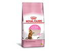 Royal Canin Kitten Sterilised 1.5kg